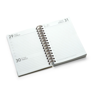 AGENDA DIÁRIA 8811AC