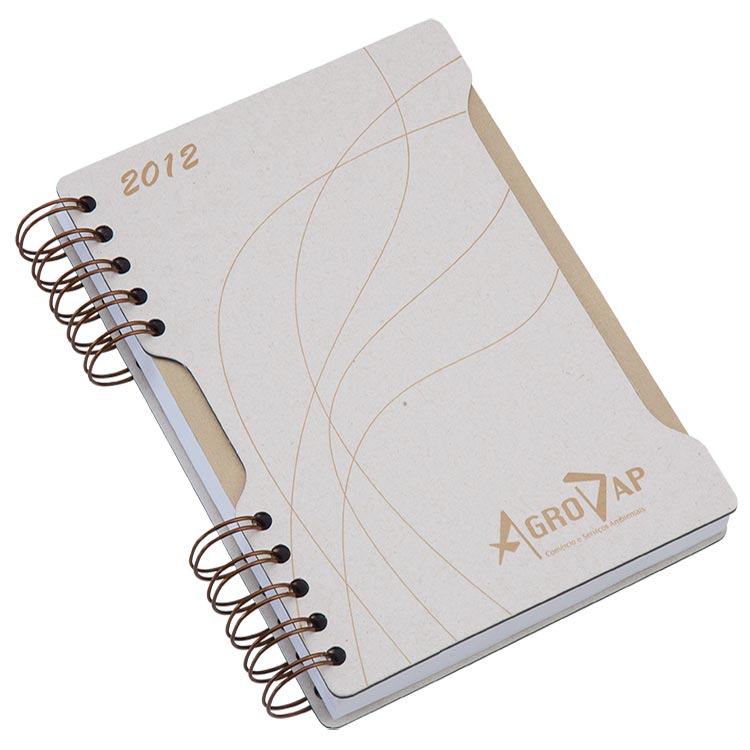 AGENDA DIÁRIA 01CA-AGD01CA