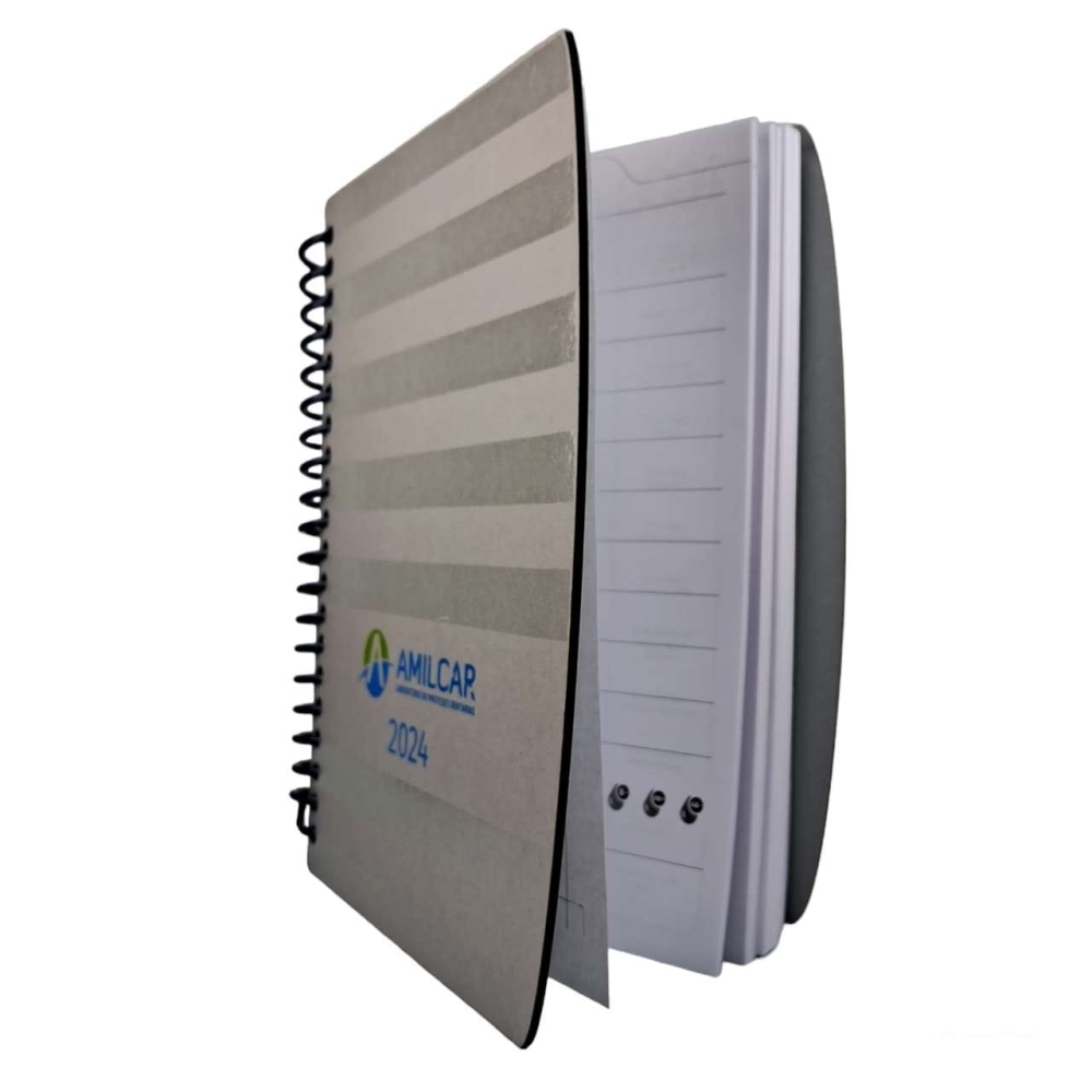 AGENDA DIÁRIA COM RECORTE